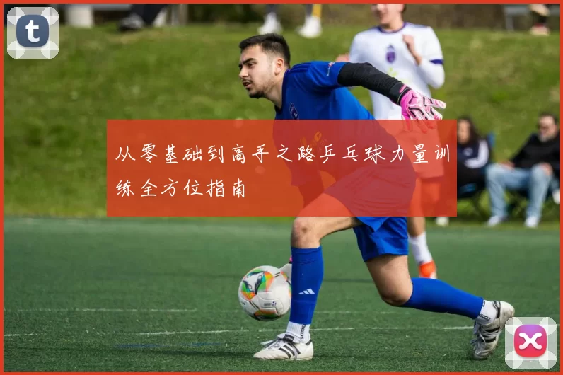 从零基础到高手之路乒乓球力量训练全方位指南