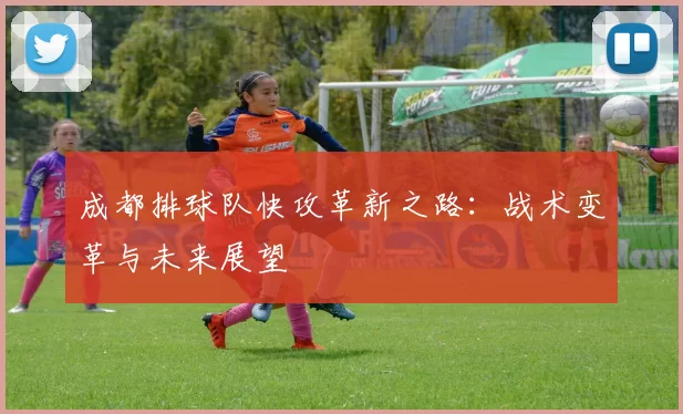 成都排球队快攻革新之路：战术变革与未来展望