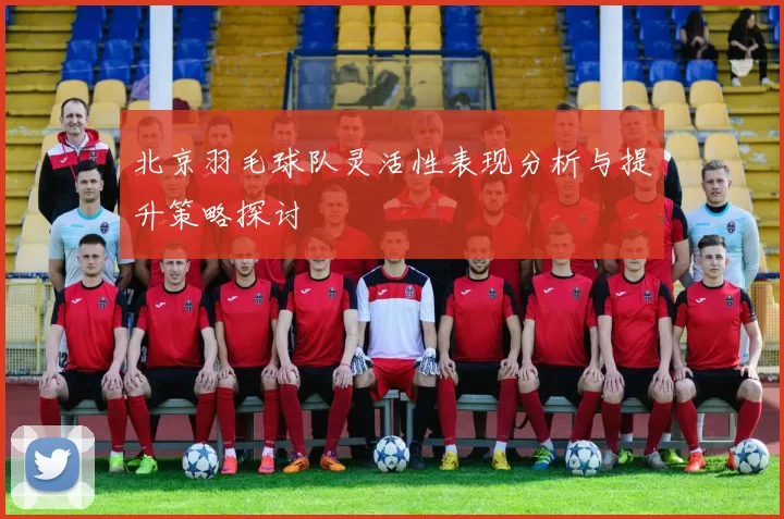 北京羽毛球队灵活性表现分析与提升策略探讨