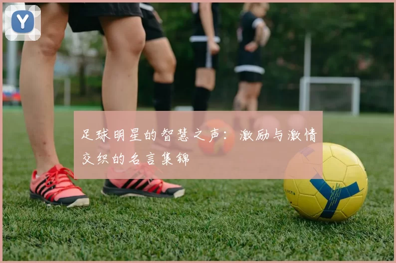 足球明星的智慧之声：激励与激情交织的名言集锦