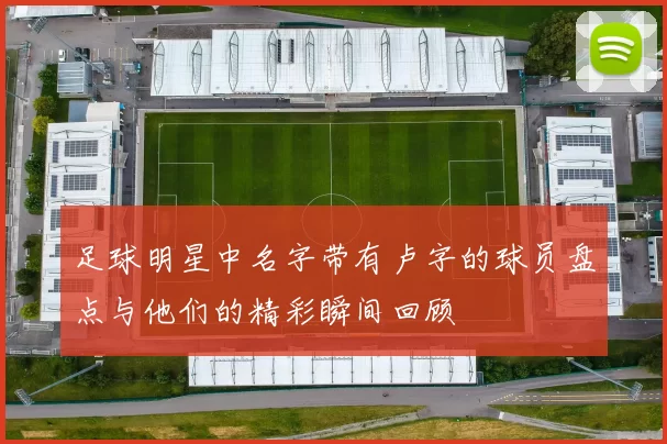 足球明星中名字带有卢字的球员盘点与他们的精彩瞬间回顾