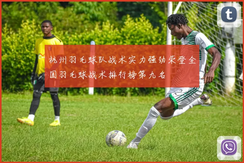 杭州羽毛球队战术实力强劲荣登全国羽毛球战术排行榜第九名