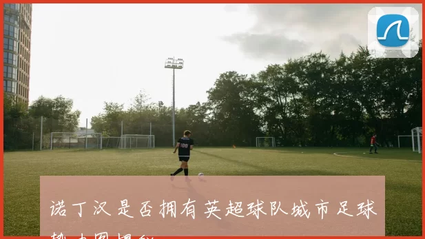 诺丁汉是否拥有英超球队城市足球势力图揭秘