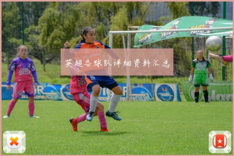 英超各球队详细资料汇总