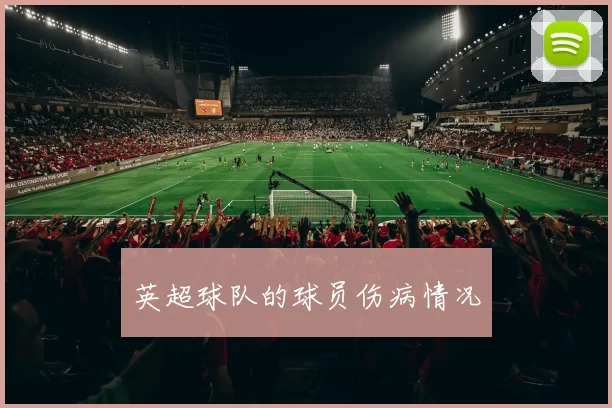 英超球队的球员伤病情况