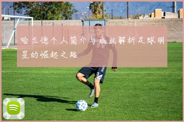 哈兰德个人简介与成就解析足球明星的崛起之路