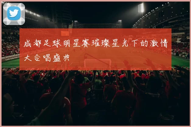 成都足球明星赛璀璨星光下的激情大合唱盛典
