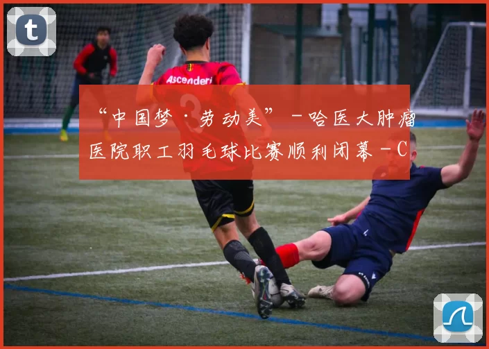 “中国梦·劳动美” - 哈医大肿瘤医院职工羽毛球比赛顺利闭幕 - Copy (2)