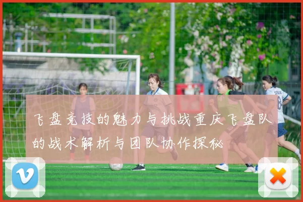 飞盘竞技的魅力与挑战重庆飞盘队的战术解析与团队协作探秘