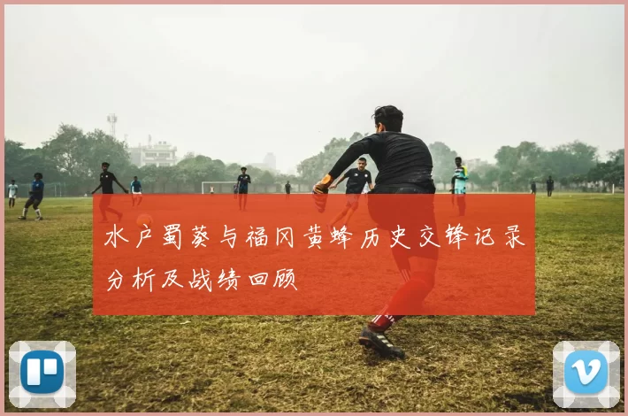 水户蜀葵与福冈黄蜂历史交锋记录分析及战绩回顾