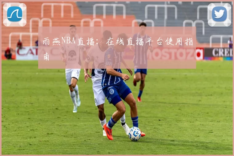雨燕NBA直播：在线直播平台使用指南