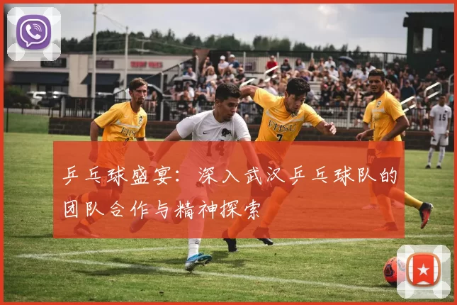 乒乓球盛宴：深入武汉乒乓球队的团队合作与精神探索