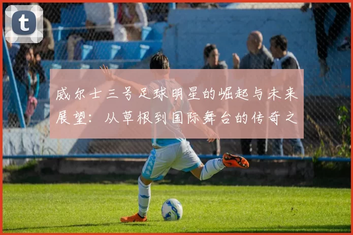 威尔士三号足球明星的崛起与未来展望：从草根到国际舞台的传奇之路