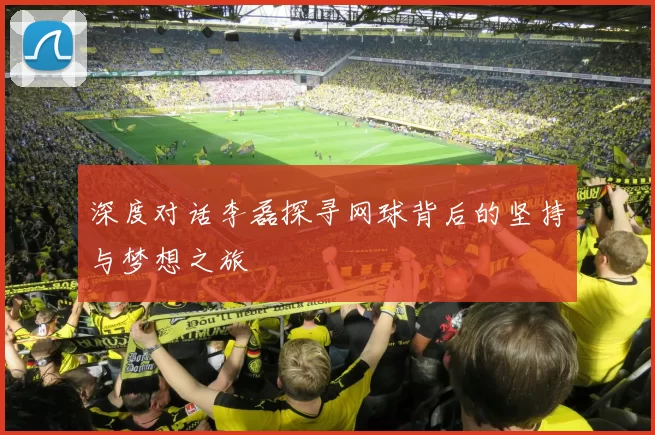 深度对话李磊探寻网球背后的坚持与梦想之旅