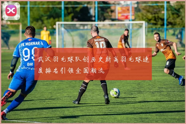 武汉羽毛球队创历史新高羽毛球速度排名引领全国潮流