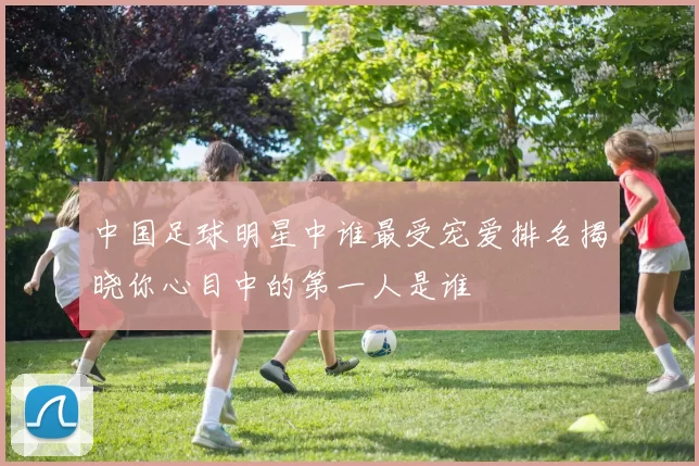 中国足球明星中谁最受宠爱排名揭晓你心目中的第一人是谁
