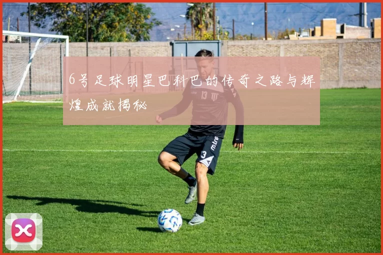 6号足球明星巴科巴的传奇之路与辉煌成就揭秘