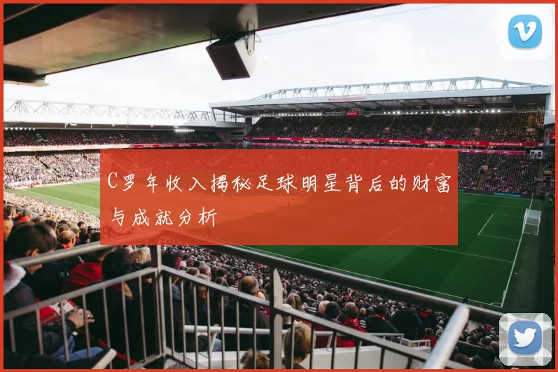 C罗年收入揭秘足球明星背后的财富与成就分析