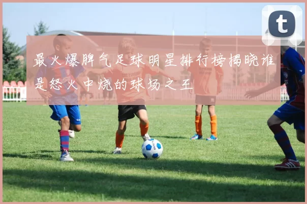 最火爆脾气足球明星排行榜揭晓谁是怒火中烧的球场之王