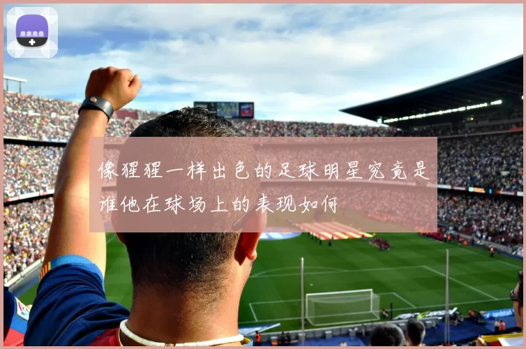 像猩猩一样出色的足球明星究竟是谁他在球场上的表现如何
