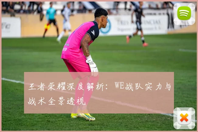 王者荣耀深度解析：WE战队实力与战术全景透视