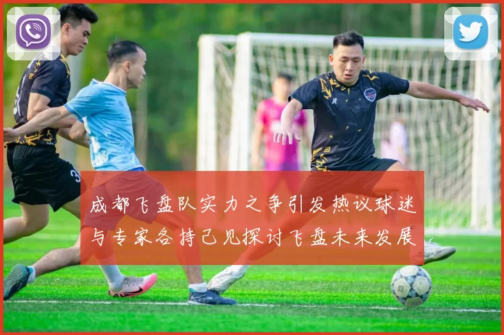 成都飞盘队实力之争引发热议球迷与专家各持己见探讨飞盘未来发展