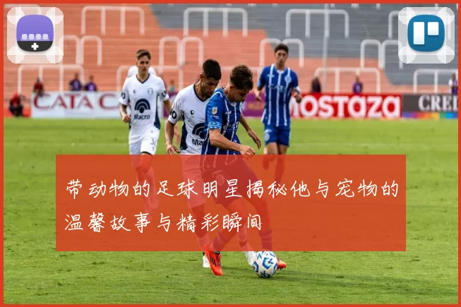 带动物的足球明星揭秘他与宠物的温馨故事与精彩瞬间