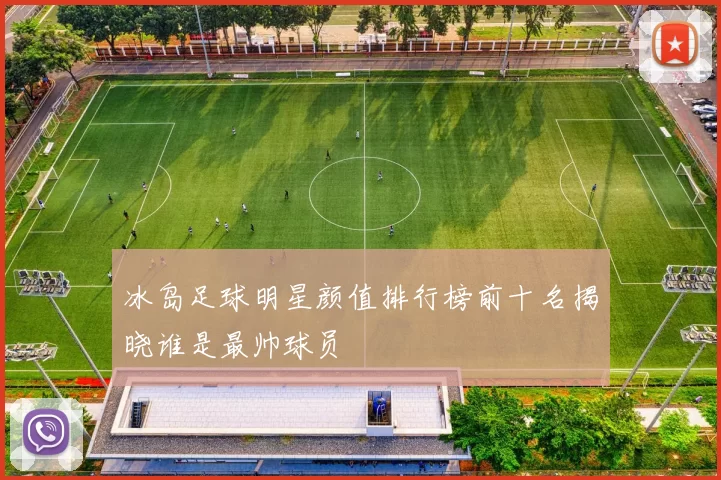 冰岛足球明星颜值排行榜前十名揭晓谁是最帅球员