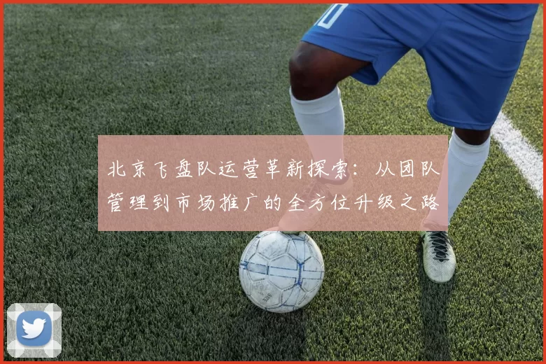 北京飞盘队运营革新探索：从团队管理到市场推广的全方位升级之路