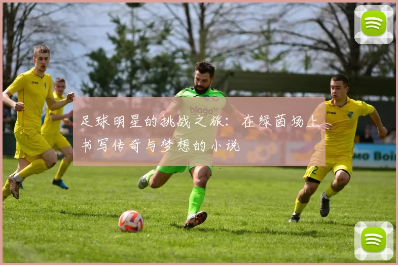 足球明星的挑战之旅：在绿茵场上书写传奇与梦想的小说