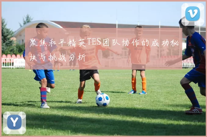 聚焦和平精英TES团队协作的成功秘诀与挑战分析
