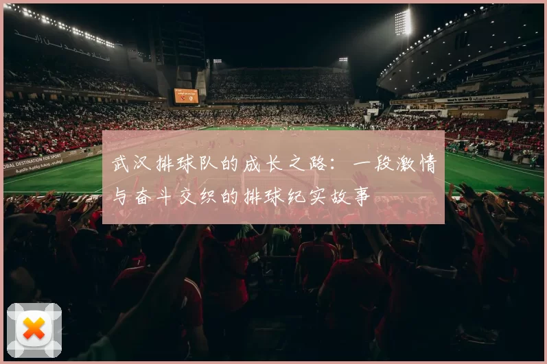 武汉排球队的成长之路：一段激情与奋斗交织的排球纪实故事